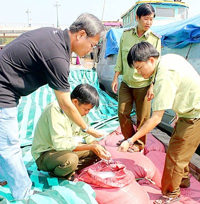 Authorities in Vinh Long Province uncovered 60,000 tons of illicit fertilizer. (Photo: SGGP) Authorities in Vinh Long Province uncovered 60,000 tons of illicit fertilizer. (Photo: SGGP)